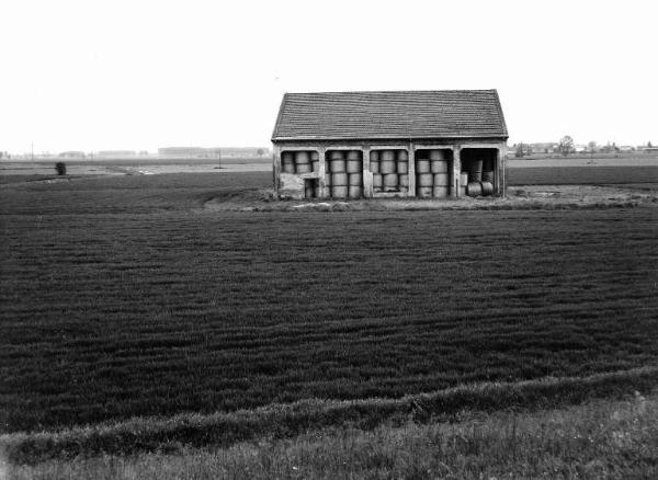 Campo coltivato - fienile con rotoballe