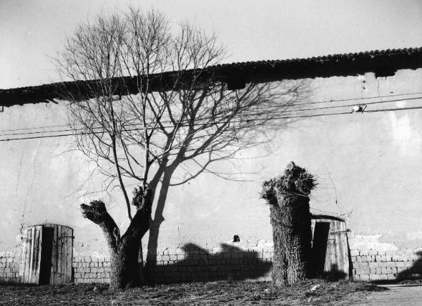 Muro di cascinale abbandonato