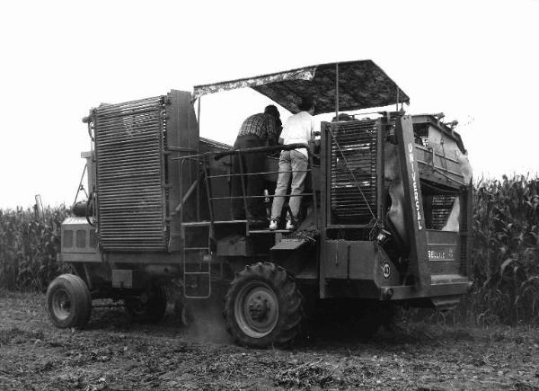 Macchina per la raccolta di patate