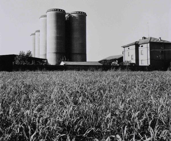 Silos per cereali - campo coltivato