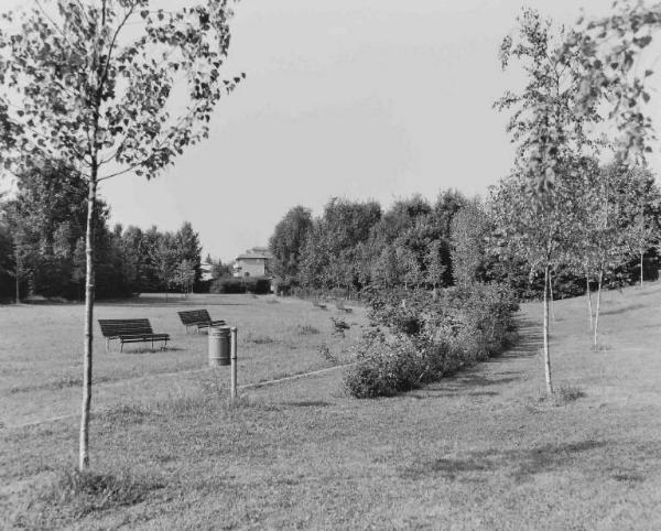 Seveso e Meda - bosco dlle Querce - prato - alberi giovani - cespugli