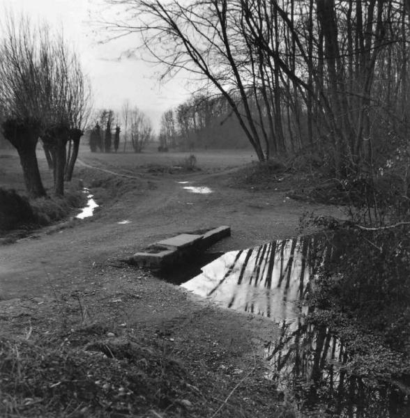 Sterrato - bosco - fontanili