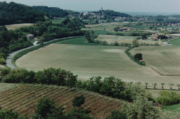 Panorama - campi coltivati ripresi da Monte Pagano