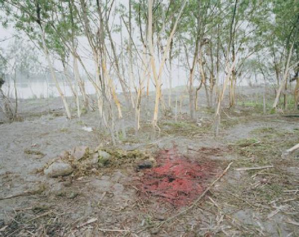 Fiume Po - sterrato - macchia di sangue - ossa - alberi