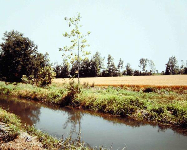 Canale - campo di grano