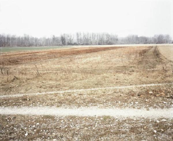 Parco agricolo Sud - campi - sentiero