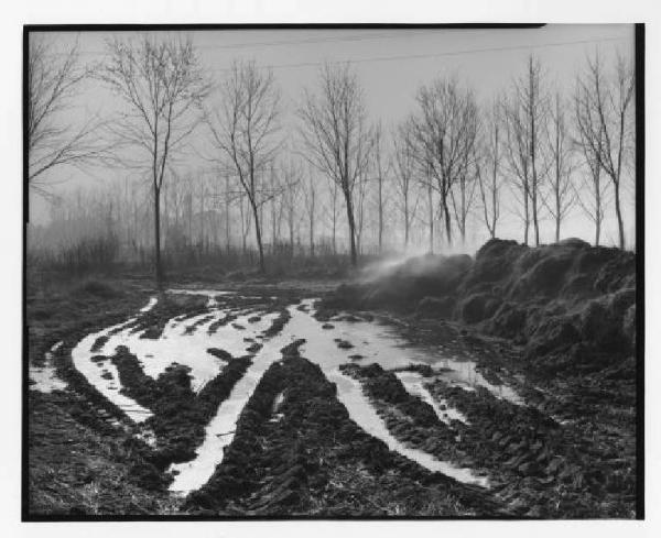 Impronte di pneumatici di trattore in un campo