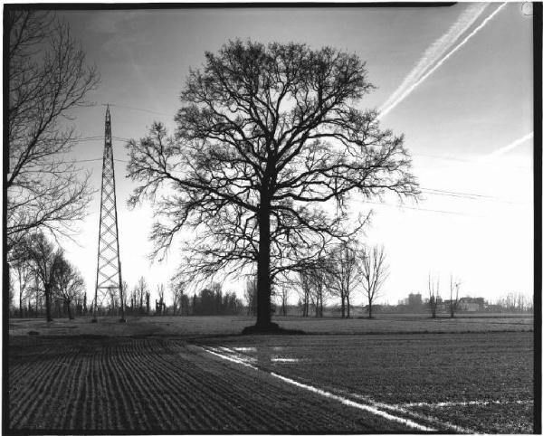 Campo seminato - albero - traliccio