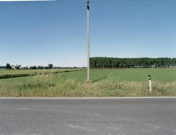 Strada - palo dell'elettricità - pioppeto