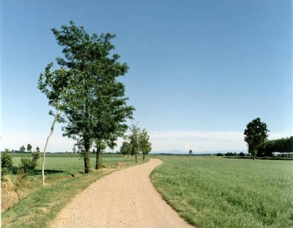 Strada sterrata fra i campi - alberi