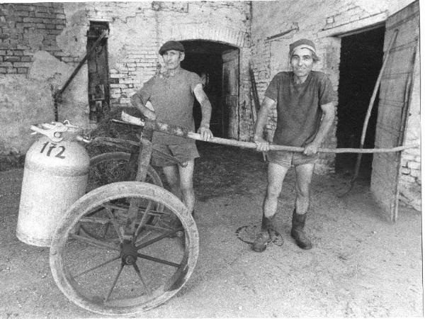 Ritratto di gruppo maschile - Agricoltori - Fratelli Lauri - Canneto sull'Oglio