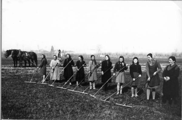 Lavori agricoli - Pulitura del fondo erboso - Canneto sull'Oglio - Ritratto di gruppo