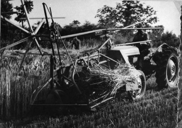 Lavori agricoli - Mietitura - Mietitrice - Canneto sull'Oglio