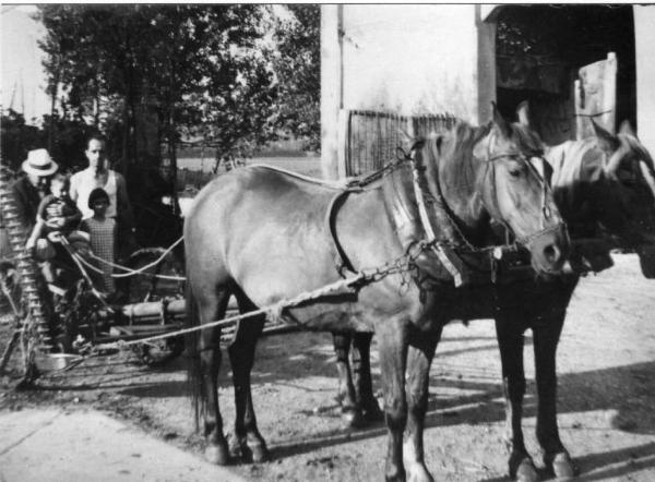 Lavori agricoli - Approntatura falciatrice - Canneto sull'Oglio - Ritratto di gruppo