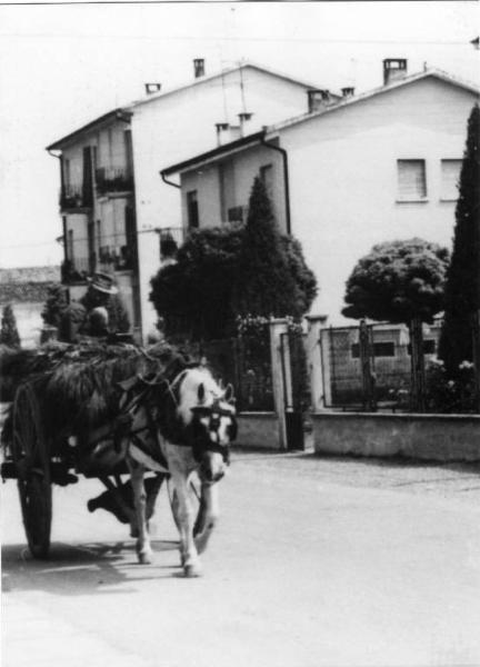 Lavori agricoli - Carro - Canneto sull'Oglio