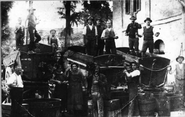 Lavori agricoli - Pigiatura dell'uva - Canneto sull'Oglio - Osteria della Busa - Ritratto di gruppo