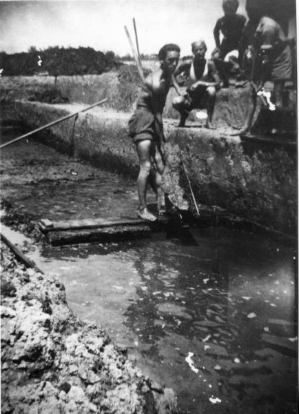 Estrazione della torba - Cava di torba - Canneto sull'Oglio