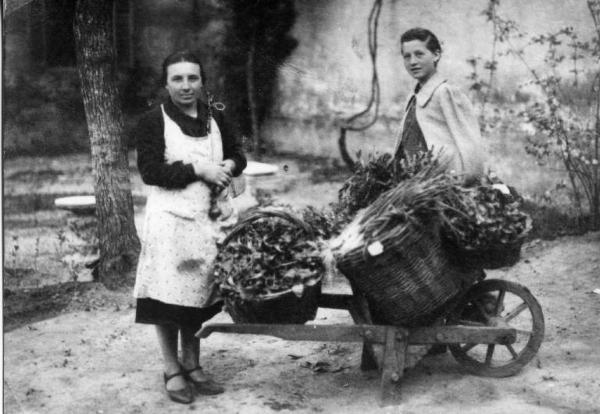 Ritratto femminile - Ortolana - Lavori commerciali - Canneto sull'Oglio