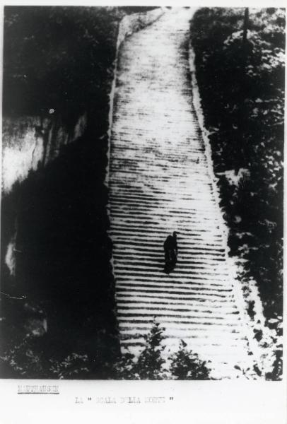 Seconda guerra mondiale - Nazismo - Austria - Campo di concentramento di Mauthausen-Gusen - "Scala della morte" dal campo verso la cava