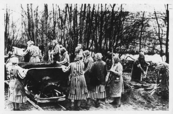 Seconda guerra mondiale - Nazismo - Germania - Campo di concentramento di Ravensbrück - Bosco - Kommando di donne prigioniere con tunica a strisce ("zebrate") al lavoro - Lavori forzati - Scavi - Carrelli