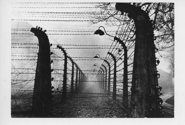 Nazismo - Polonia - Campo di concentramento / Campo di sterminio di Auschwitz-Birkenau - Pali e reticolato con filo spinato e corrente elettrica ad alta tensione - Luci