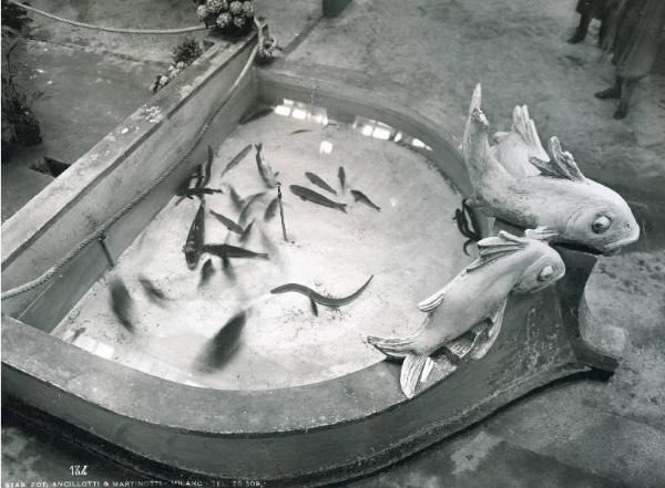 Fiera di Milano - Campionaria 1936 - Padiglione della zootecnica - Sala della Genepesca (Compagnia generale italiana della pesca)