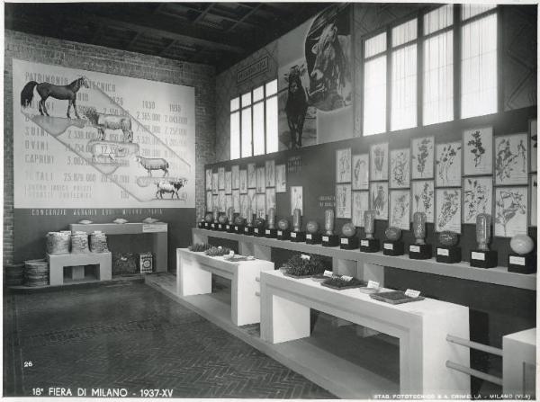 Fiera di Milano - Campionaria 1937 - Padiglione Arnaldo Mussolini (padiglione dell'agricoltura) - Mostra dell'alimentazione del bestiame - Stand