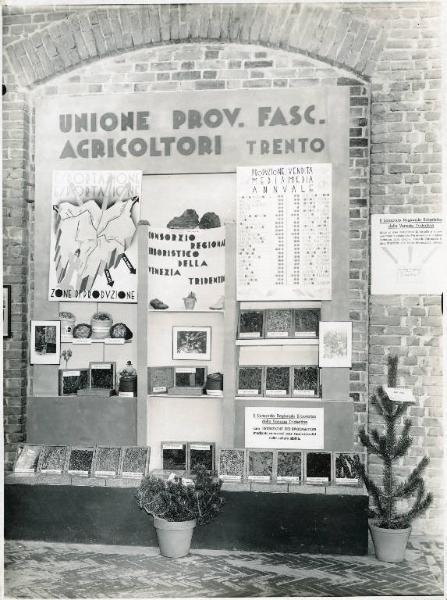 Fiera di Milano - Campionaria 1935 - Padiglione Arnaldo Mussolini (padiglione dell'agricoltura) - Mostra erboristica e sottobosco - Stand dell'Unione provinciale fascista agricoltori di Trento