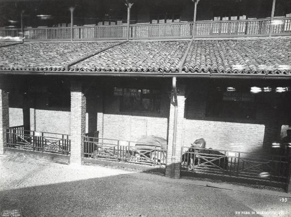Fiera di Milano - Campionaria 1938 - Padiglione Arnaldo Mussolini (padiglione dell'agricoltura) - Mostra dell'autarchia agricola - Stand di allevamenti di bovini