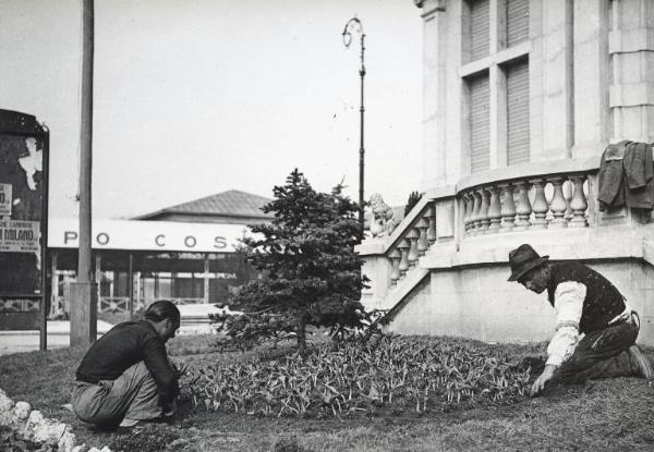 Fiera di Milano - Campionaria 1939 - Aiuola con fiori - Lavori di preparazione