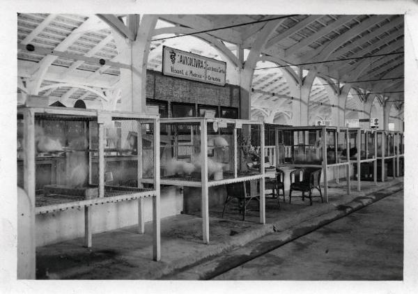 Fiera di Milano - Campionaria 1929 - Mostre della zootecnica - Esposizione avicola