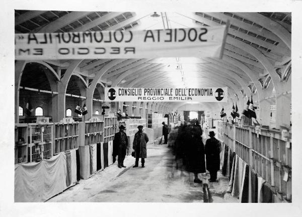 Fiera di Milano - Campionaria 1929 - Mostre della zootecnica - Esposizione avicola