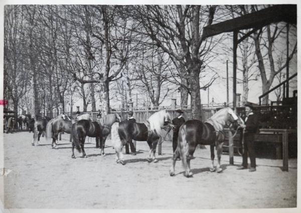 Fiera di Milano - Campionaria 1930 - Mostre della zootecnica - Esposizione equina