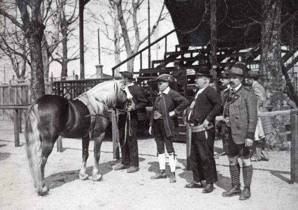 Fiera di Milano - Campionaria 1930 - Mostre della zootecnica - Esposizione equina