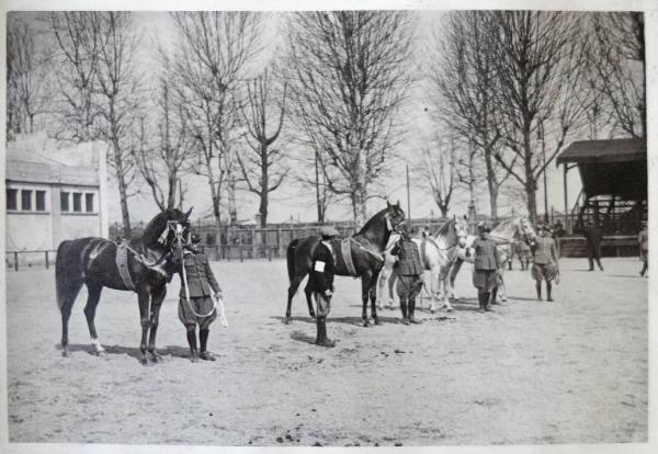 Fiera di Milano - Campionaria 1930 - Mostre della zootecnica - Esposizione equina