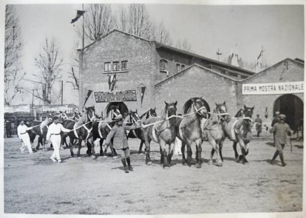 Fiera di Milano - Campionaria 1930 - Mostre della zootecnica - Esposizione equina