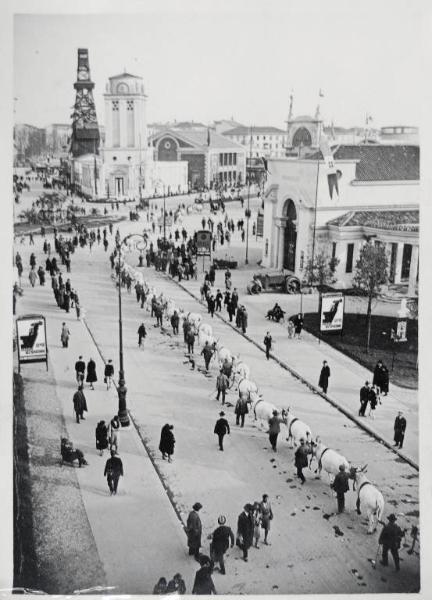 Fiera di Milano - Campionaria 1930 - Mostre della zootecnica - Esposizione dei bovini