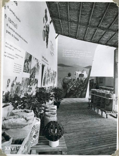 Fiera di Milano - Campionaria 1948 - Padiglione del Gruppo Montecatini - Sala dei prodotti chimici per l'agricoltura