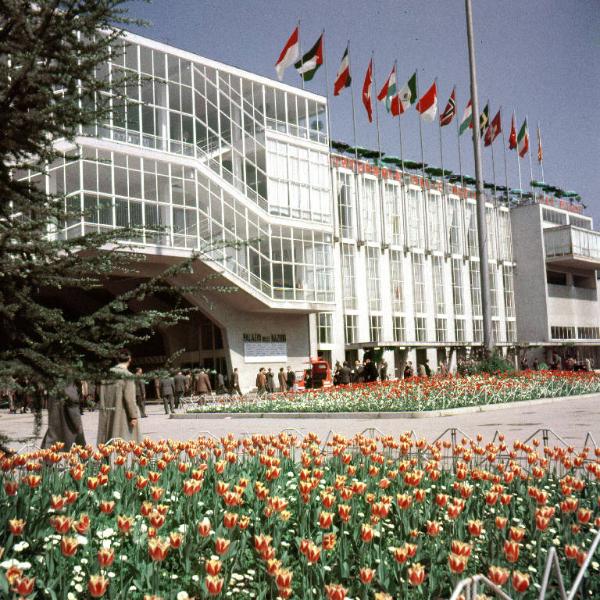 Fiera di Milano - Campionaria 1953 - Viale dell'industria - Palazzo delle nazioni - Aiuole fiorite - Visitatori