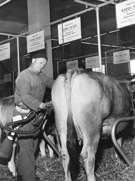 Fiera di Milano - Campionaria 1958 - Padiglione attrezzature per stalle, materiale avicolo, veterinaria, articoli zootecnici, mangimi e integrativi - Interno