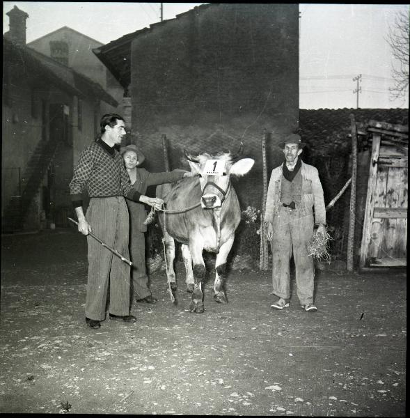 Corbetta - Fiera del Cinsin