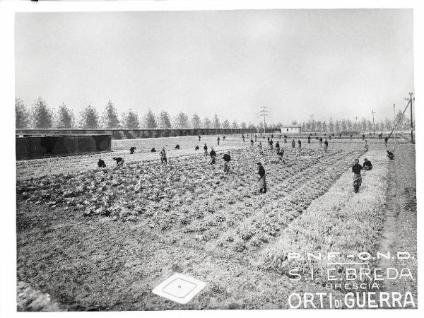 VI sezione Ernesto Breda - Brescia - Via Lunga - Stabilimento industriale - Esterno - Orti di guerra - Militari e operai al lavoro