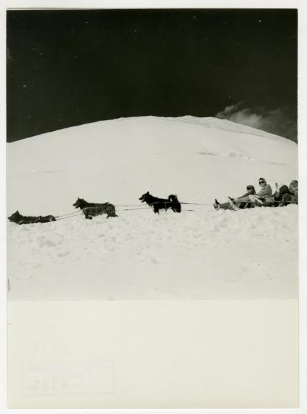 Slitta da neve tirata da cani