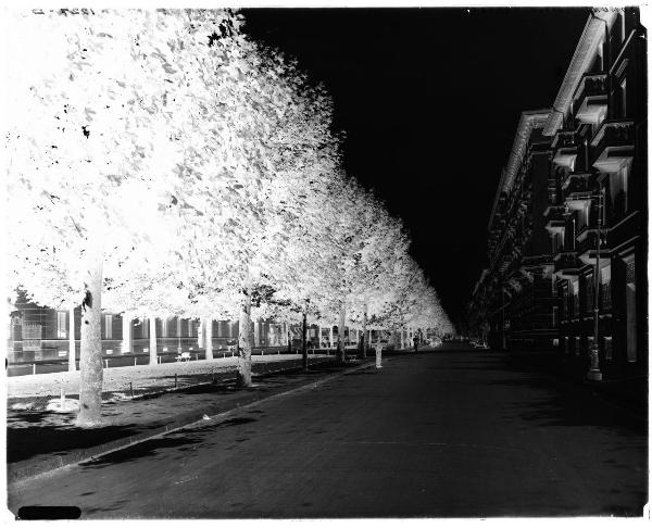 Milano - viale Abruzzi