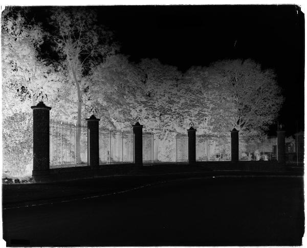 Milano - Porta Venezia - Giardini Pubblici Indro Montanelli - cancellata d'ingresso dai Bastioni di Porta Venezia - piante