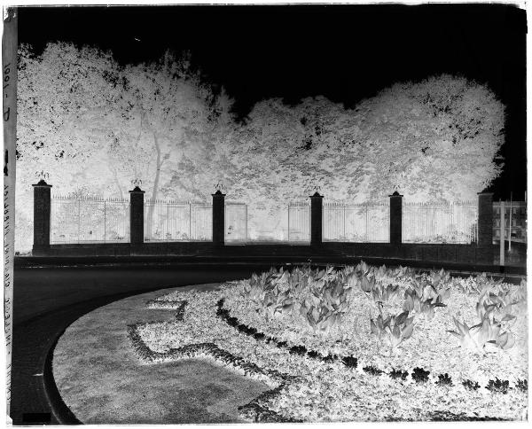 Milano - Porta Venezia - Giardini Pubblici Indro Montanelli - ingresso dai Bastioni di Porta Venezia - aiuola - piante