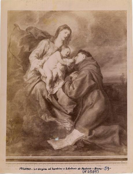 La Vergine col Bambino e S. Antonio da Padova - Brera