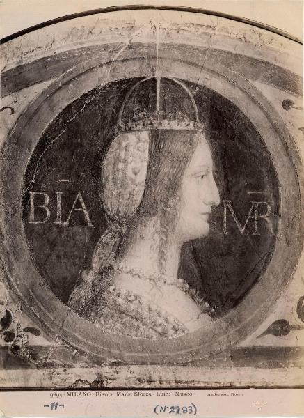 Bianca Maria Sforza - Luini - Museo