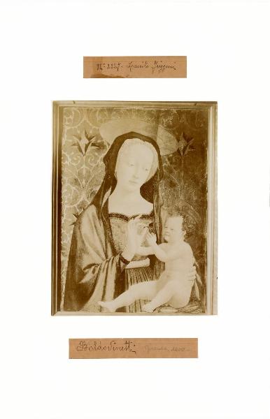 Domenico Veneziano - Madonna con Bambino - Dipinto - Firenze - Settignano - Collezione Berenson