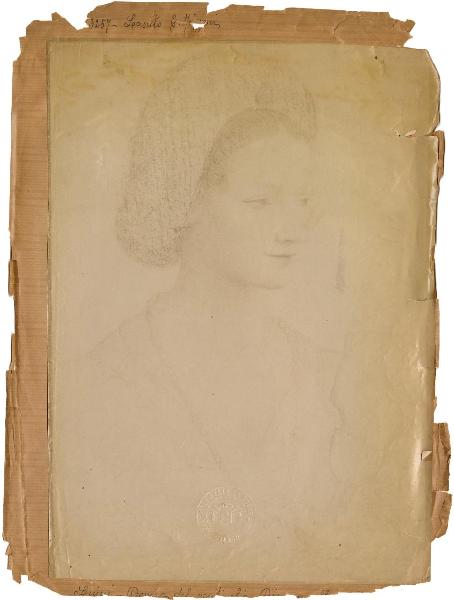 Luini, Bernardino - Studio per il ritratto di Ippolita Bentivoglio (Ritratto femminile) - Disegno - Vienna - Albertina